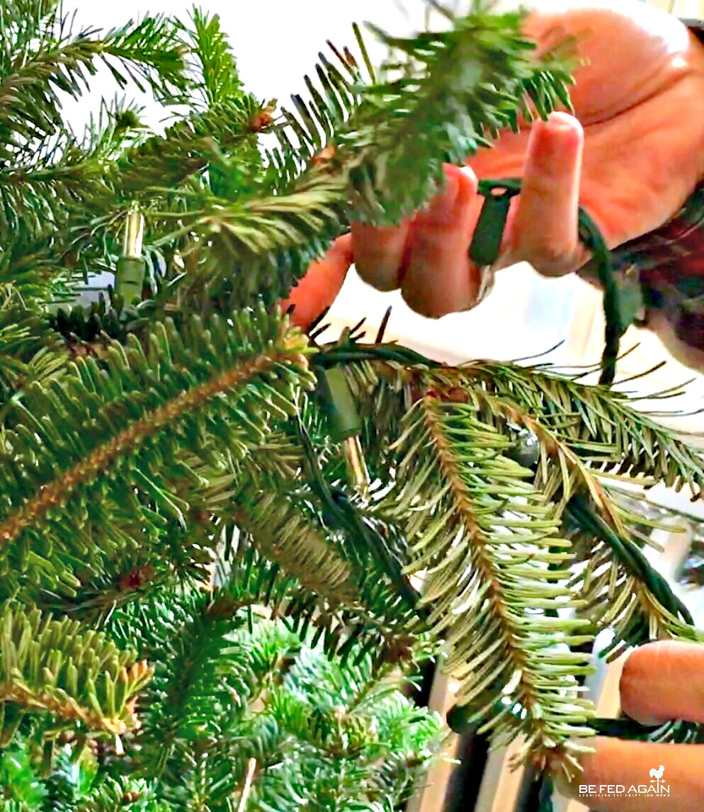 diy-dutchess-christmas-tree-lights-how-to